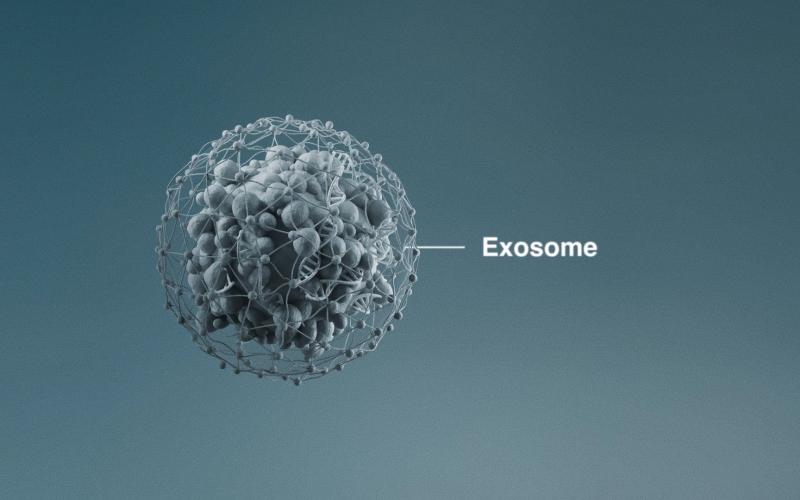 Boost je huid op celniveau: alles over de Dermalogica Exo Booster behandeling