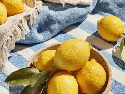 Summer Treatments