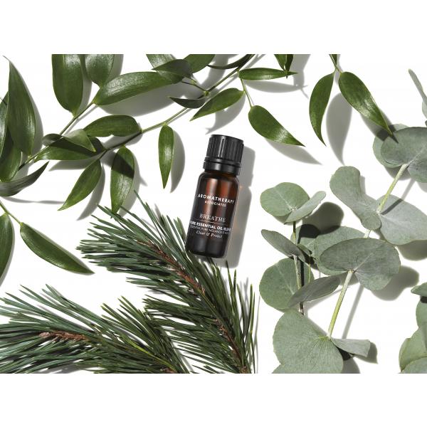 Breath Pure Essential Oil Blend