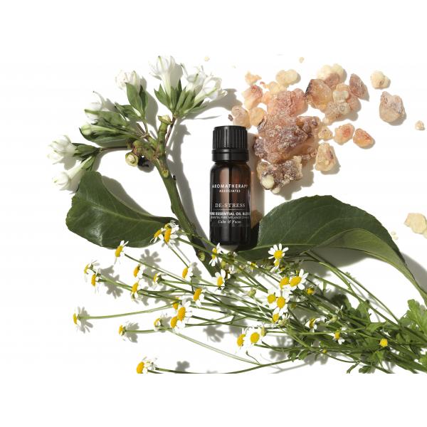 Forest Therapy Essential Oil Blend